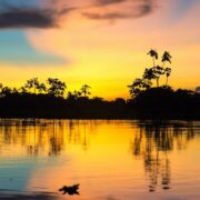 Colorful Amazonian Sunset