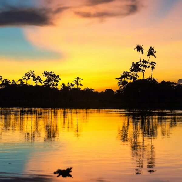 Colorful Amazonian Sunset